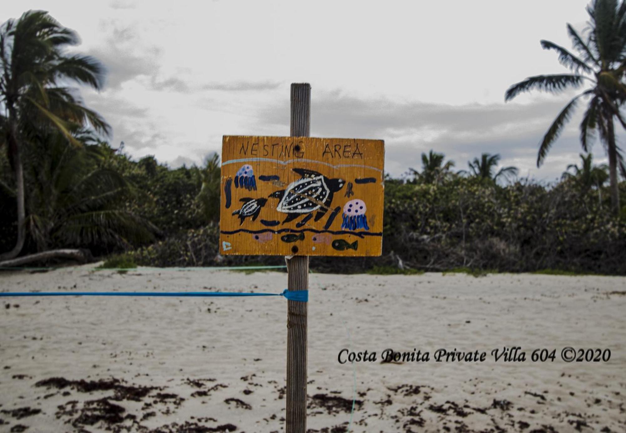 Costa Bonita Private Villa 604 Isla Culebra Екстериор снимка